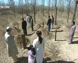 《不良英雄》全集高清完整版在线观看与剧情解析