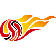 中超 山东泰山vs武汉三镇20250625