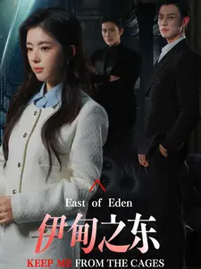 《伊甸之东》全集高清完整版在线观看与剧情解析