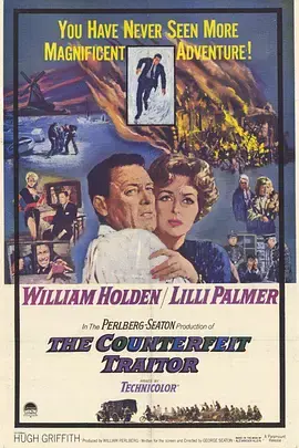 《伪叛国者》全集高清完整版在线观看与剧情解析