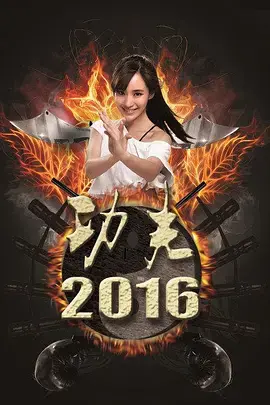 《功夫2016》全集高清完整版在线观看与剧情解析