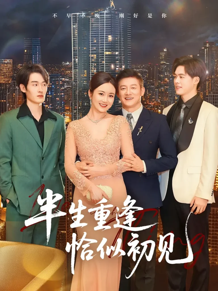 《半生重逢恰似初见》全集高清完整版在线观看与剧情解析