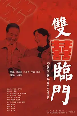 《双喜临门2007》全集高清完整版在线观看与剧情解析