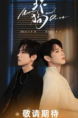 《坏狗》全集高清完整版在线观看与剧情解析