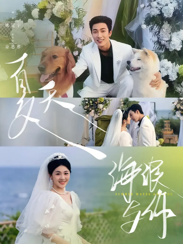 《夏天，海浪与你》全集高清完整版在线观看与剧情解析