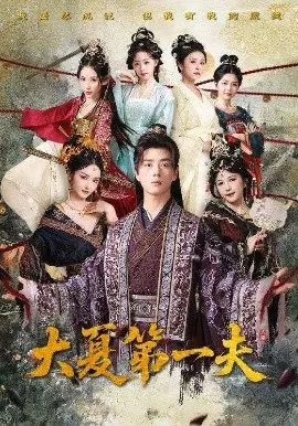 《大夏第一夫》全集高清完整版在线观看与剧情解析