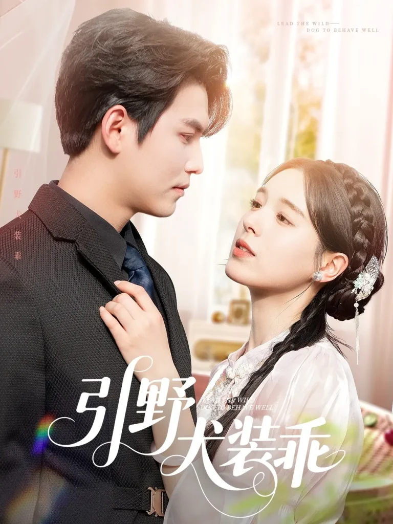 《引野犬装乖》全集高清完整版在线观看与剧情解析