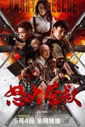 《怒火营救》全集高清完整版在线观看与剧情解析