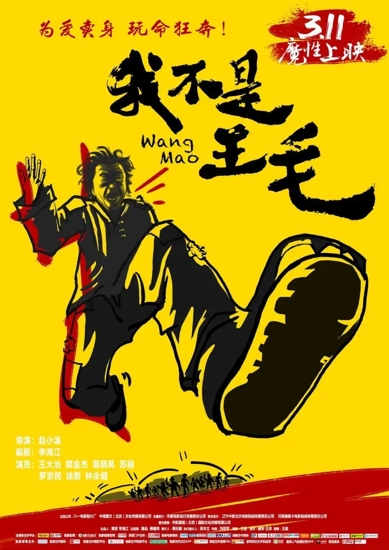 《我不是王毛》全集高清完整版在线观看与剧情解析
