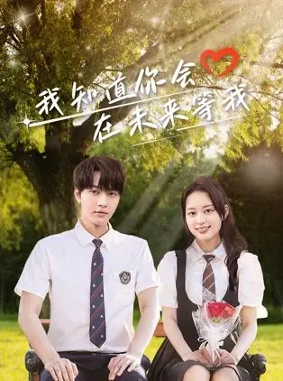 《我知道你会在未来等我》全集高清完整版在线观看与剧情解析