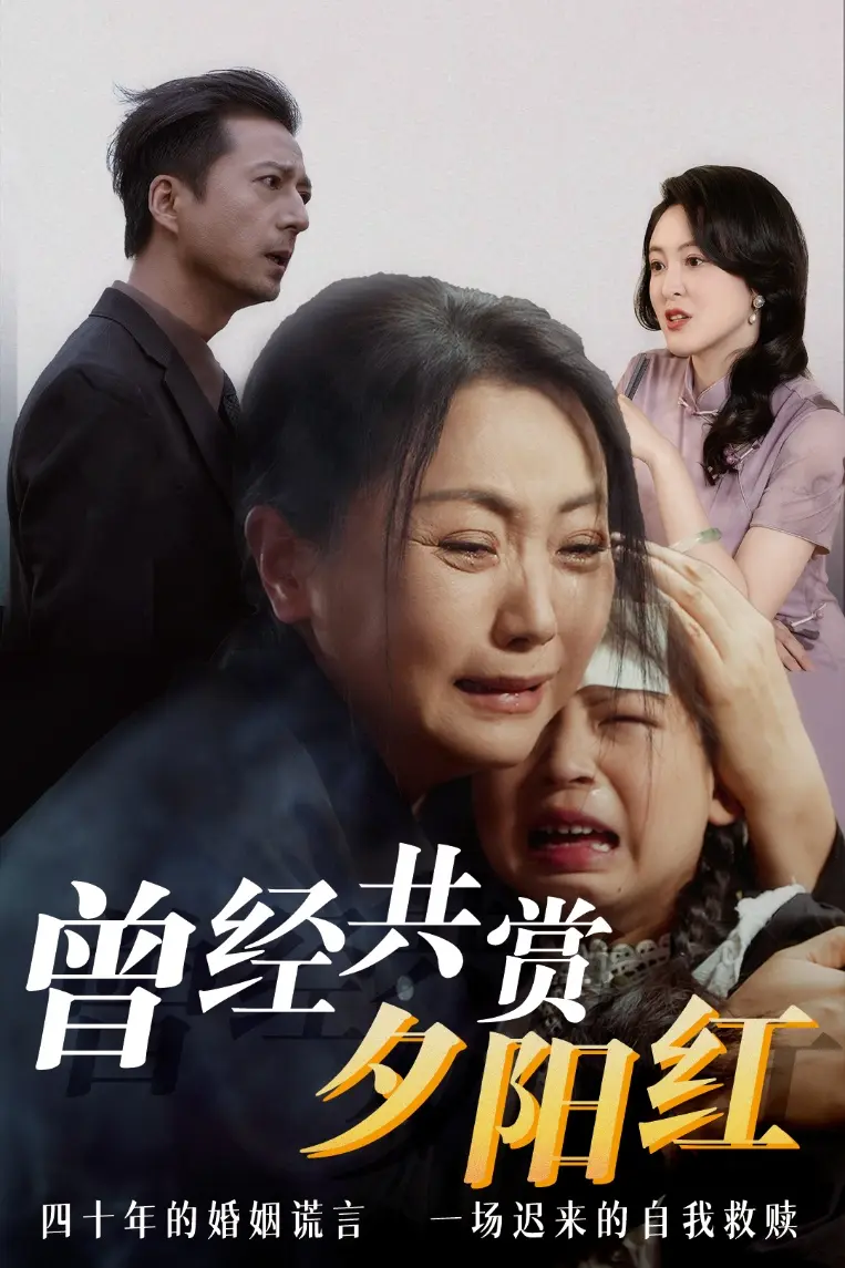 《曾经共赏夕阳红》全集高清完整版在线观看与剧情解析