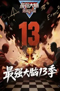 最强大脑第十三季（加更版）