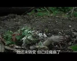 《末时2015》全集高清完整版在线观看与剧情解析