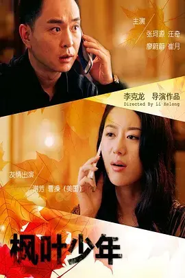 《枫叶少年》全集高清完整版在线观看与剧情解析