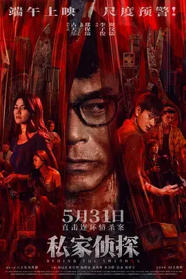 《私家侦探》全集高清完整版在线观看与剧情解析