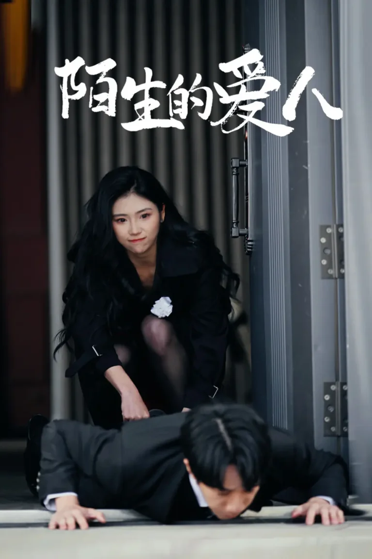 《陌生的爱人》全集高清完整版在线观看与剧情解析