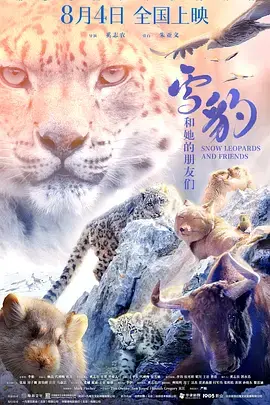 《雪豹和她的朋友们》全集高清完整版在线观看与剧情解析