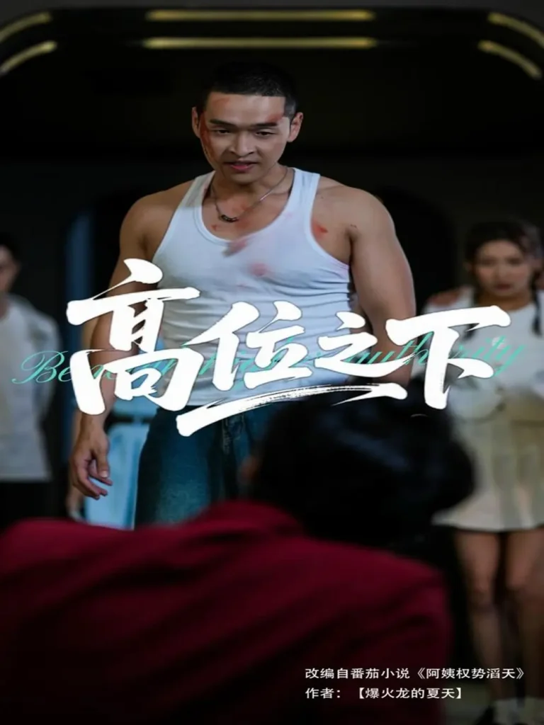 《高位之下》全集高清完整版在线观看与剧情解析